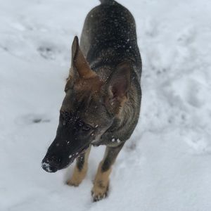 Meet your Posher, Kara